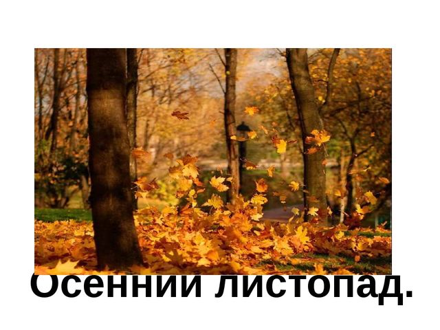 Презентация к занятию по формированию целостной картины мира. Итоговое занятие "Золотая осень". Средняя группа.