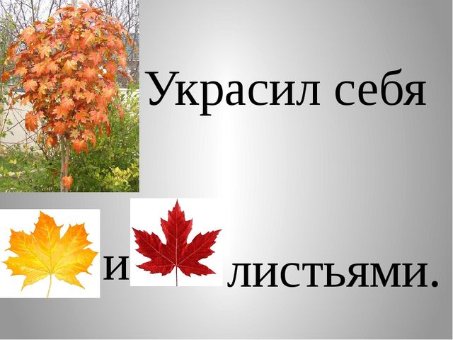 Презентация по развитию речи: Сказка-рассказ "Праздник в лесу"