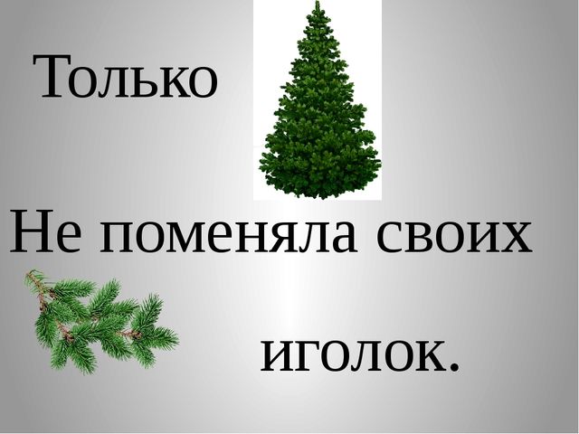 Презентация по развитию речи: Сказка-рассказ "Праздник в лесу"