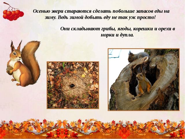 "Времена года - осень"
