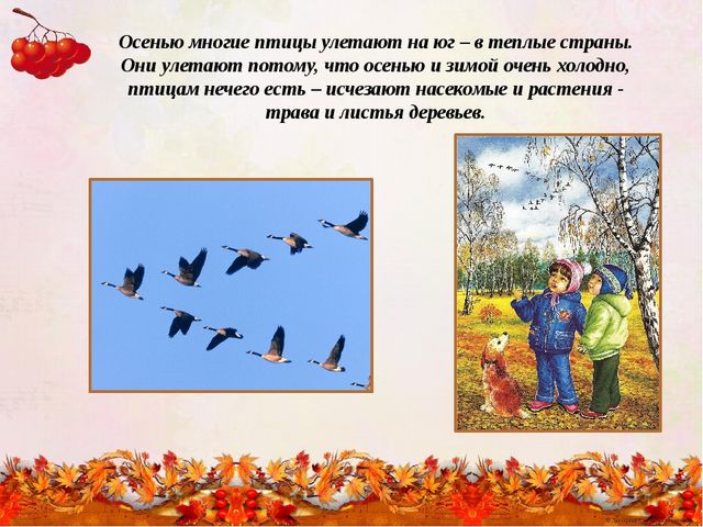 "Времена года - осень"