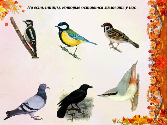 "Времена года - осень"