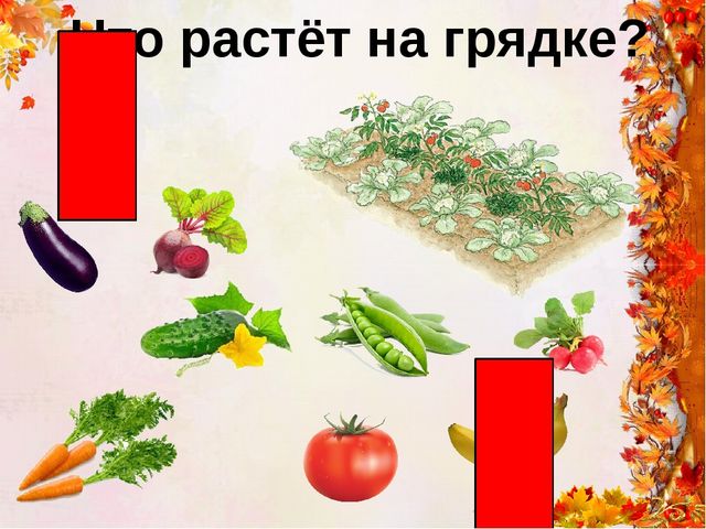 "Времена года - осень"