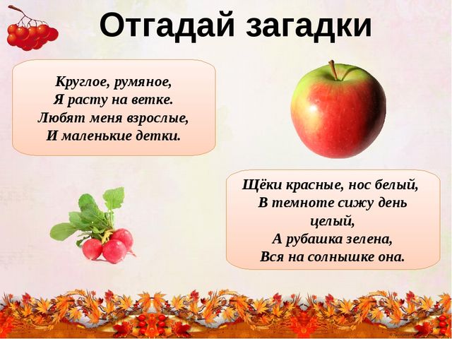 "Времена года - осень"