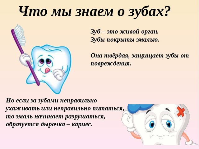 Здоровье - это здоровый образ жизни