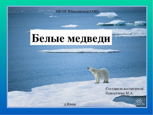 Презентация по ознакомлению с окружающим миром "Белые медведи"