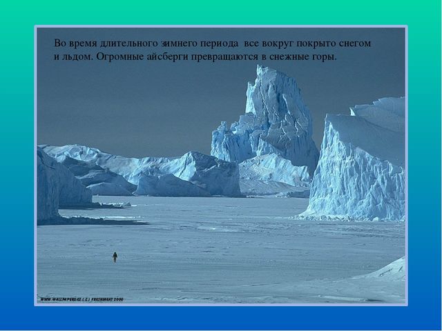 Презентация по ознакомлению с окружающим миром "Белые медведи"