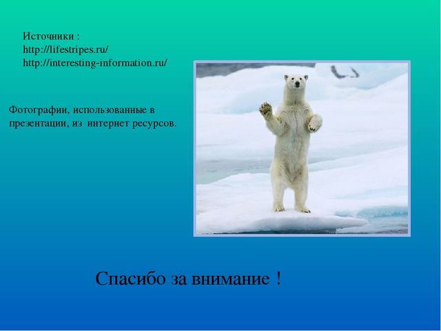 Презентация по ознакомлению с окружающим миром "Белые медведи"