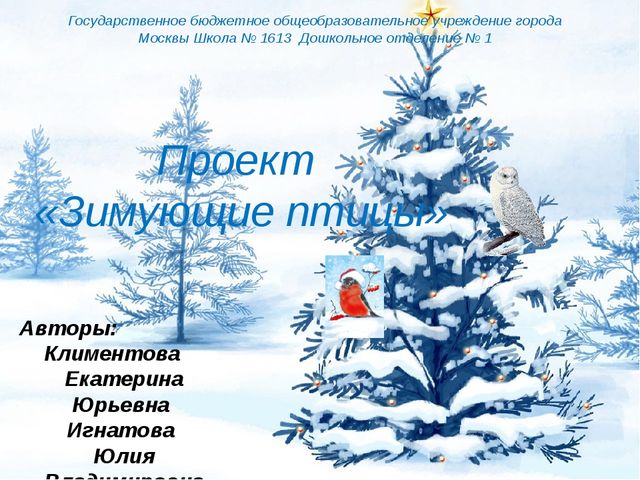 Проект с дошкольниками "Зимующие птицы"
