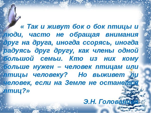 Проект с дошкольниками "Зимующие птицы"