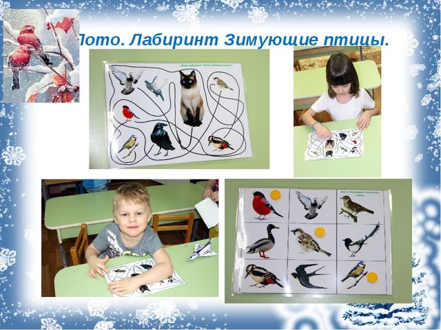 Проект с дошкольниками "Зимующие птицы"