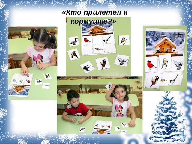Проект с дошкольниками "Зимующие птицы"