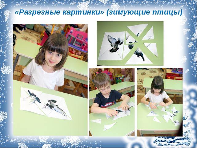 Проект с дошкольниками "Зимующие птицы"