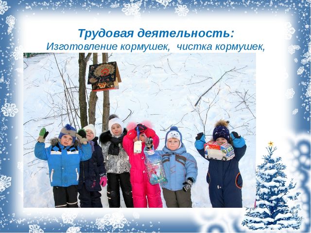 Проект с дошкольниками "Зимующие птицы"