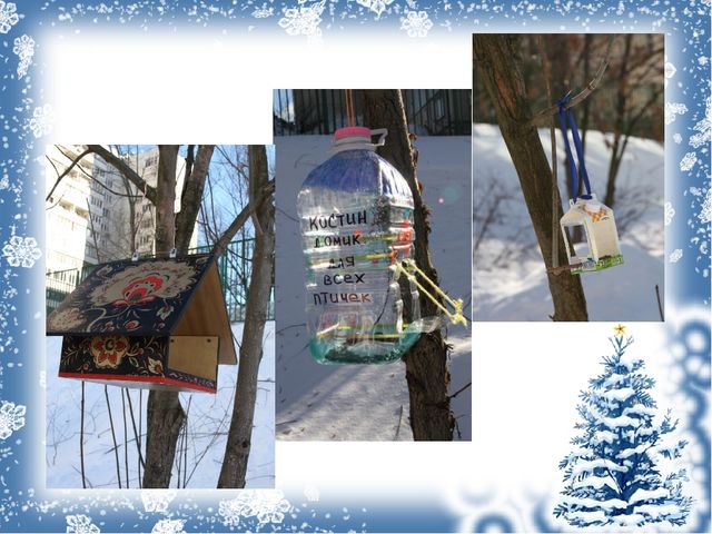 Проект с дошкольниками "Зимующие птицы"