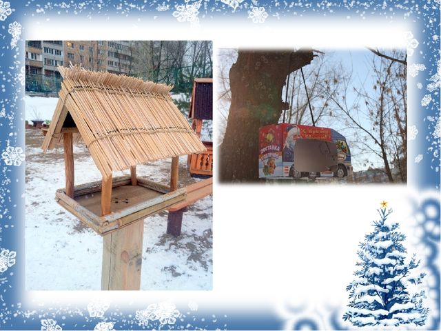 Проект с дошкольниками "Зимующие птицы"