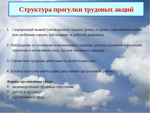 Презентация "Организация тематических прогулок в ДОУ"