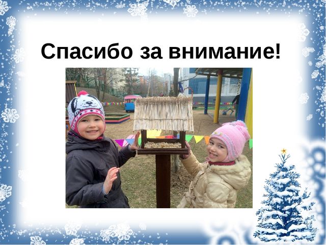 Проект "Покормите птиц зимой!"