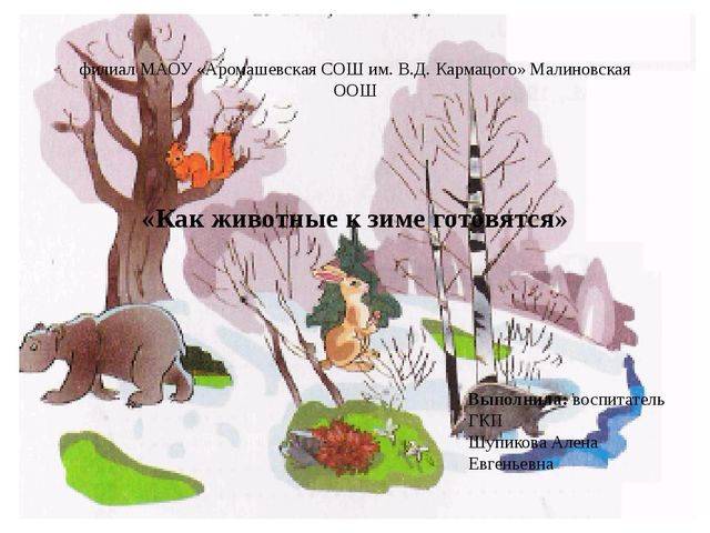 Как животные готовятся к зиме