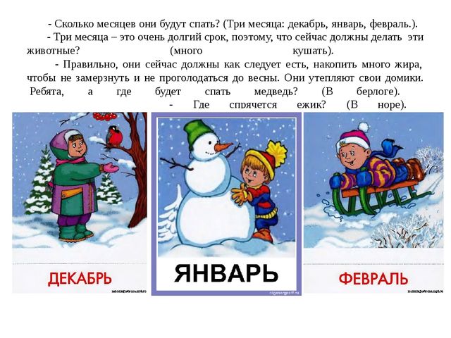 Как животные готовятся к зиме