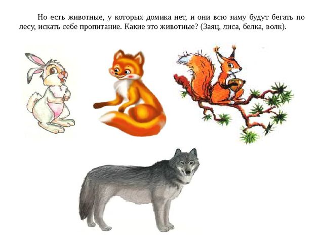 Как животные готовятся к зиме