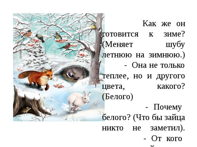 Ежик меняет шубку. Как животные готовятся к зиме. Тема как животные готовятся к зиме. Тема кто как готовится к зиме. Как животные готовятся к зиме для детей.