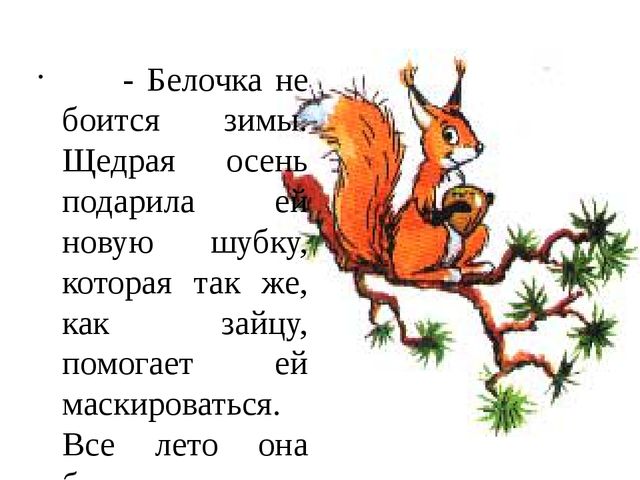 Как животные готовятся к зиме