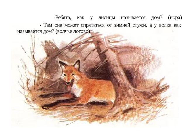 Как животные готовятся к зиме