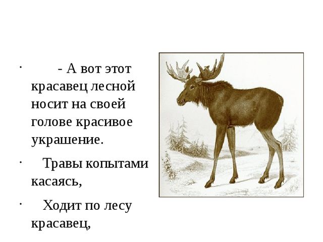 Как животные готовятся к зиме