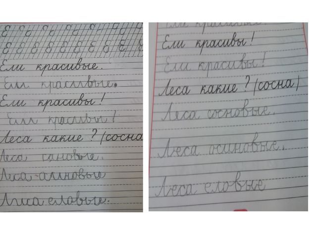 Презентация по преемственности дошкольного образования и начальной школы