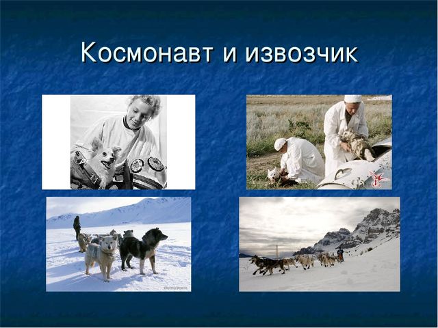 Презентация к ООД "Собака - друг человека"