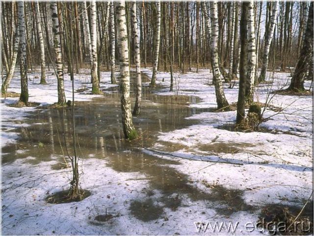 Презентация к занятию " Как зима весну встречала"