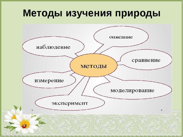 Презентация по теме : «Формирование эколого-краеведческих знаний старших дошкольников посредством моделирования».