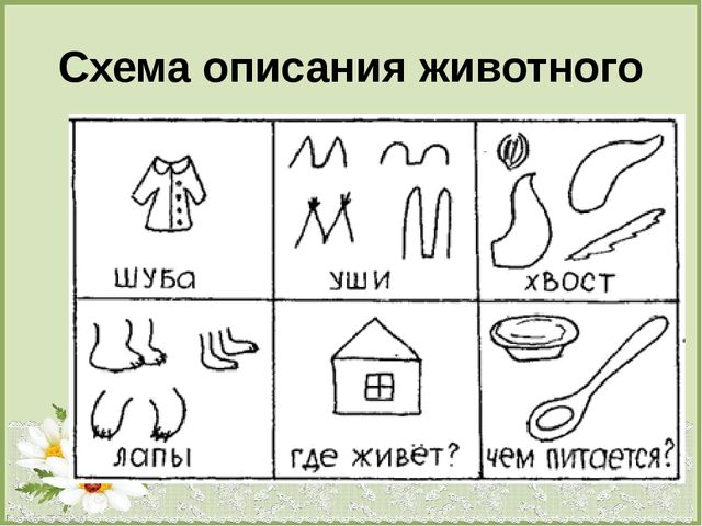 Презентация по теме : «Формирование эколого-краеведческих знаний старших дошкольников посредством моделирования».