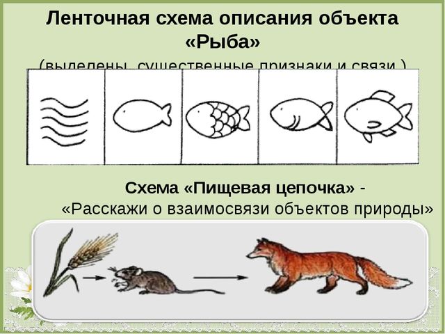 Презентация по теме : «Формирование эколого-краеведческих знаний старших дошкольников посредством моделирования».