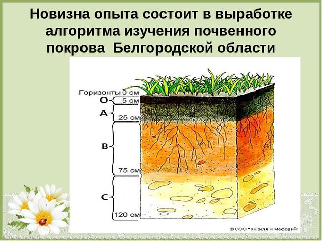 Презентация по теме : «Формирование эколого-краеведческих знаний старших дошкольников посредством моделирования».