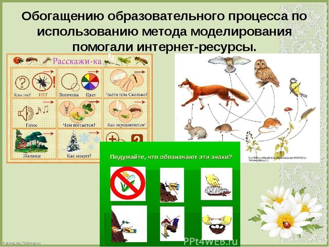 Презентация по теме : «Формирование эколого-краеведческих знаний старших дошкольников посредством моделирования».