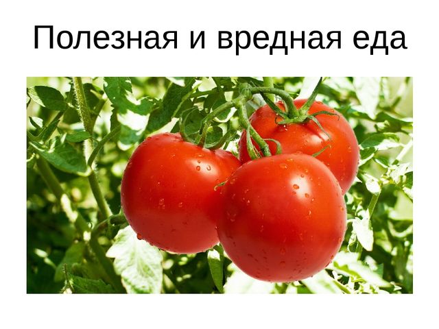 «Путешествие в Королевство Неболеек»