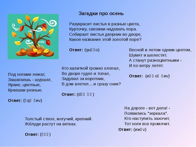 Стихи и загадки о временах года
