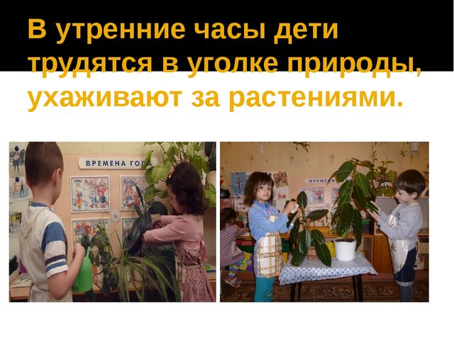 Проект "Формирование представлений о труде через разные формы организации детской деятельности."