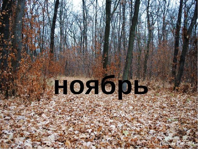 Презентация "Месяц полных кладовых"