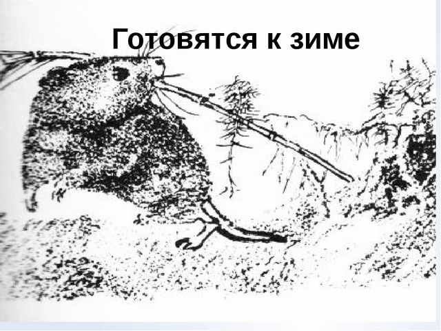 Презентация "Месяц полных кладовых"