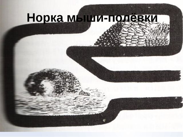 Презентация "Месяц полных кладовых"