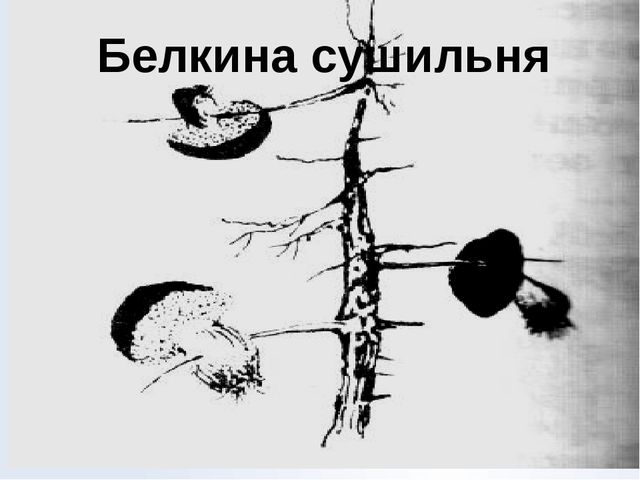 Презентация "Месяц полных кладовых"