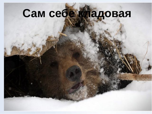 Презентация "Месяц полных кладовых"