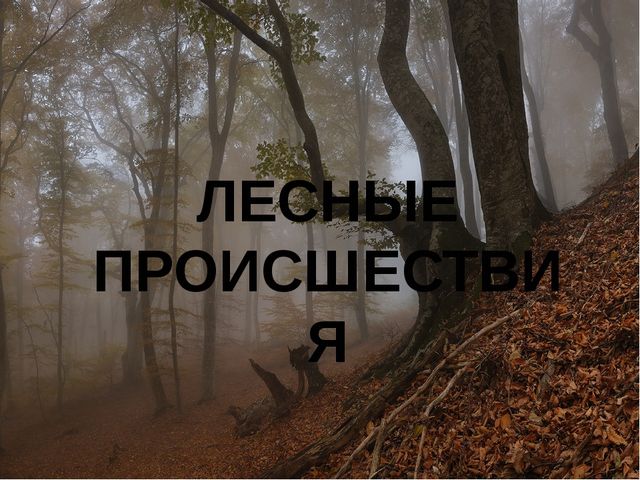 Презентация "Месяц полных кладовых"