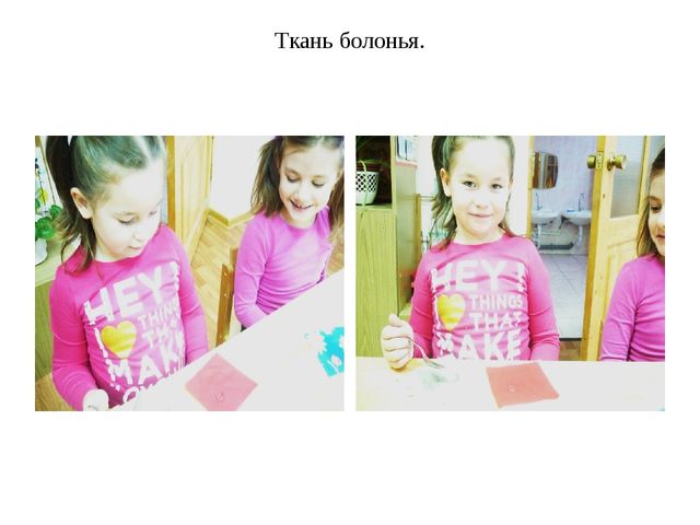 Презентация "Макет папки юного исследователя".