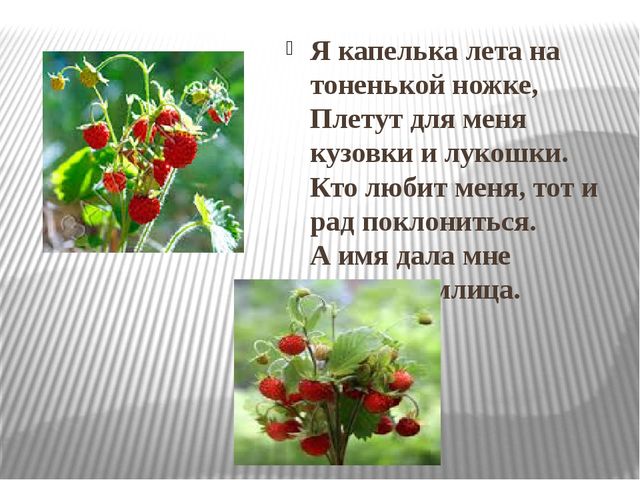 ИКТ к конспекту "Моя малая Родина-республика Коми"