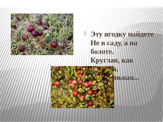ИКТ к конспекту "Моя малая Родина-республика Коми"