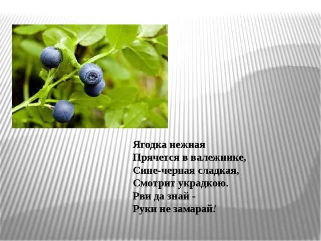 ИКТ к конспекту "Моя малая Родина-республика Коми"